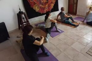 Academia Yoga Wellness Rosario