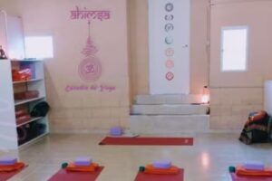 Ahimsa Estudio De Yoga