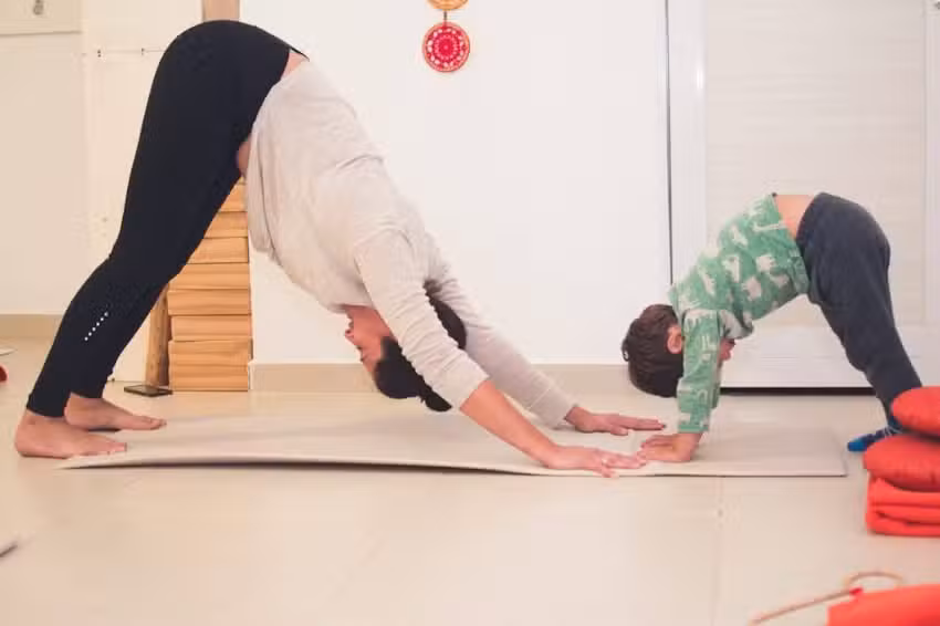 Ananda yoga y meditaci&oacute;n