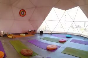 Áurea Yoga Patagonia