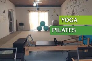 Bienestar y Equilibrio