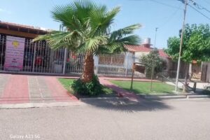 Centro de Yoga y Yogaterapia Ananda Maip&uacute; &ndash; Mendoza