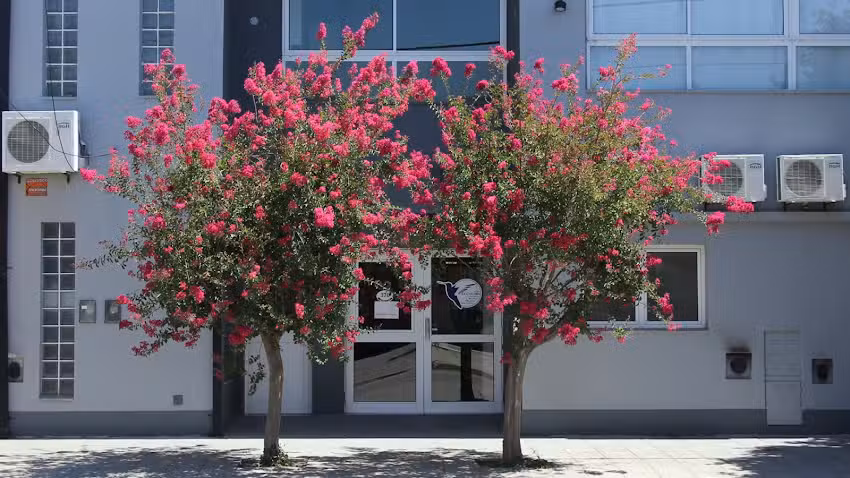 Centro El Colibr&iacute;