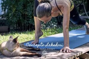 Concepto Yoga