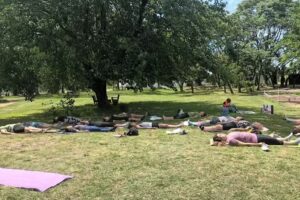 Despierta Yoga