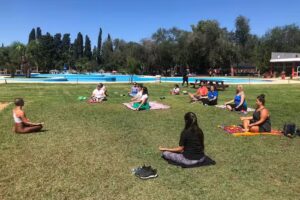 El Árbol del Yoga estudio