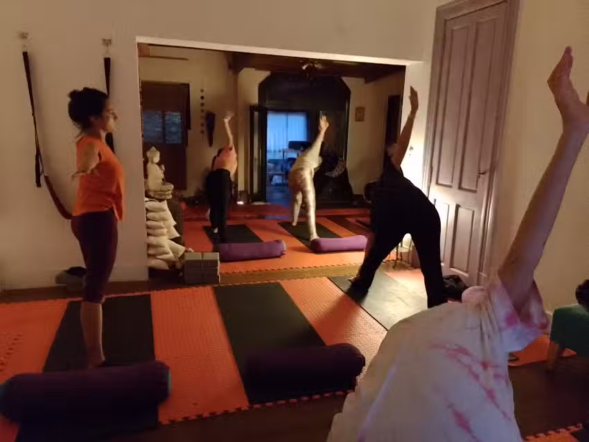 Estudio Sattva &ndash; Yoga. @estudio_sattva