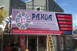 Instituto de Formaci&oacute;n en Artes Orientales (I.F.A.O.) &ndash; 𝐏𝐀𝐊𝐔𝐀 [San Mart&iacute;n]