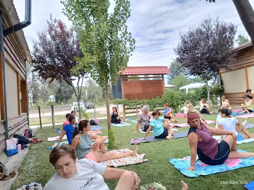 Instituto de Yoga Acuarius Red GFU