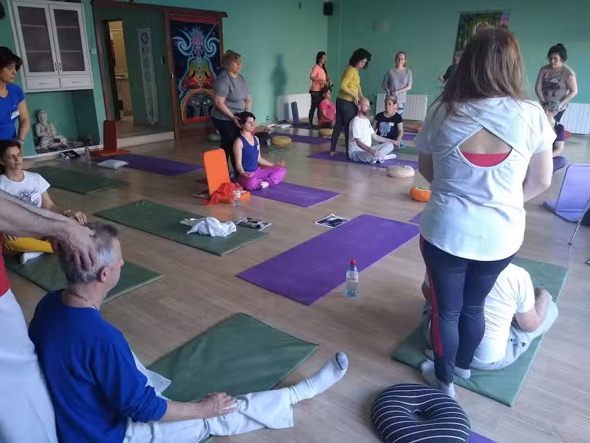 Instituto de Yoga Surya Namaskar