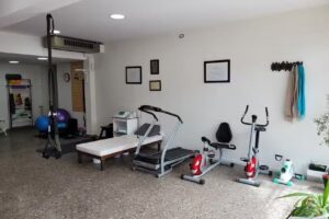 Kinesia Kinesiolog&iacute;a