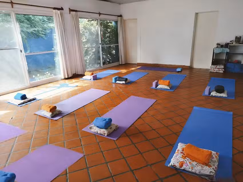 Lalcec Tigre &ndash; Clases de Yoga