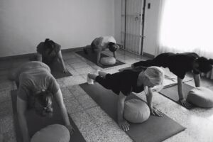 Le Meme Yoga Integral