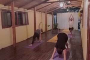 Los Bolos Yoga Shala