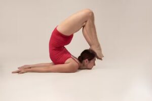 Movilidad Org&aacute;nica