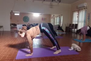 NAMASTE YOGA Y MEDITACIÓN