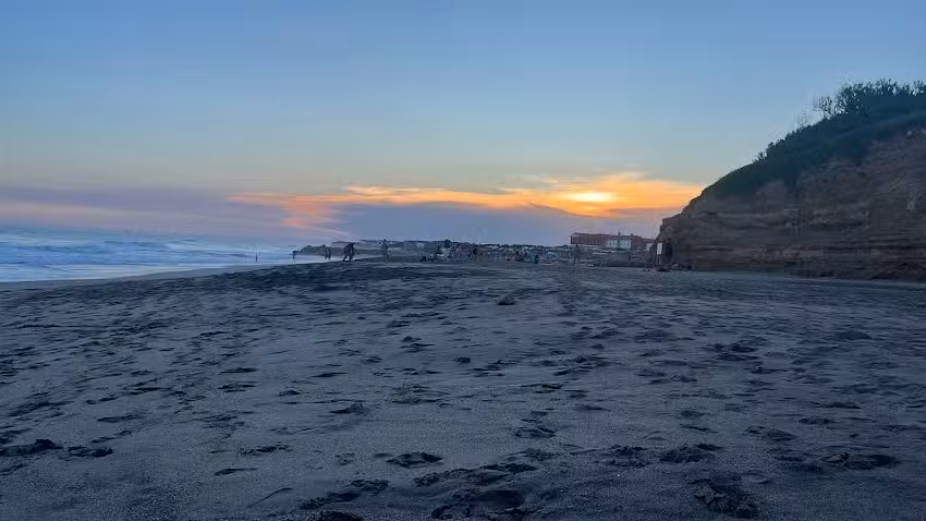 Opci&oacute;n Sana y Resonancia Om