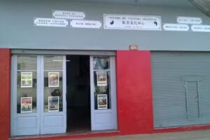 Oriental Maip&uacute;: Artes Marciales, Yoga, Calistenia, Acupuntura&hellip;