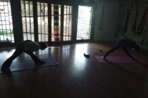 Pangea Espacio de Estudio y Practica corporal (yoga, esferokinesis)