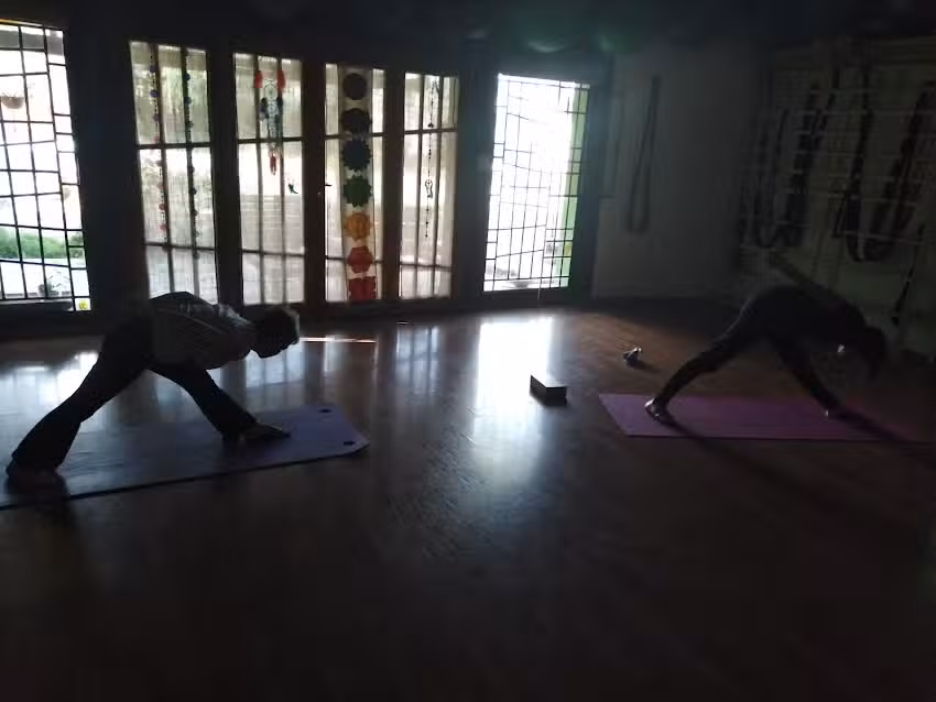 Pangea Espacio de Estudio y Practica corporal (yoga, esferokinesis)