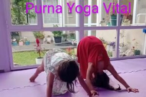 Purna Yoga Vital Las Grutas