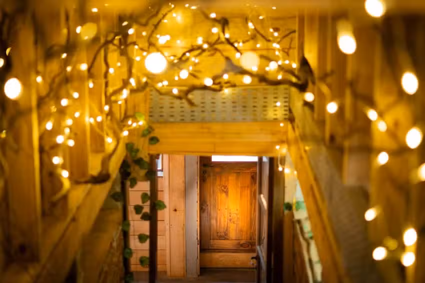 Sal&oacute;n Ra&iacute;ces