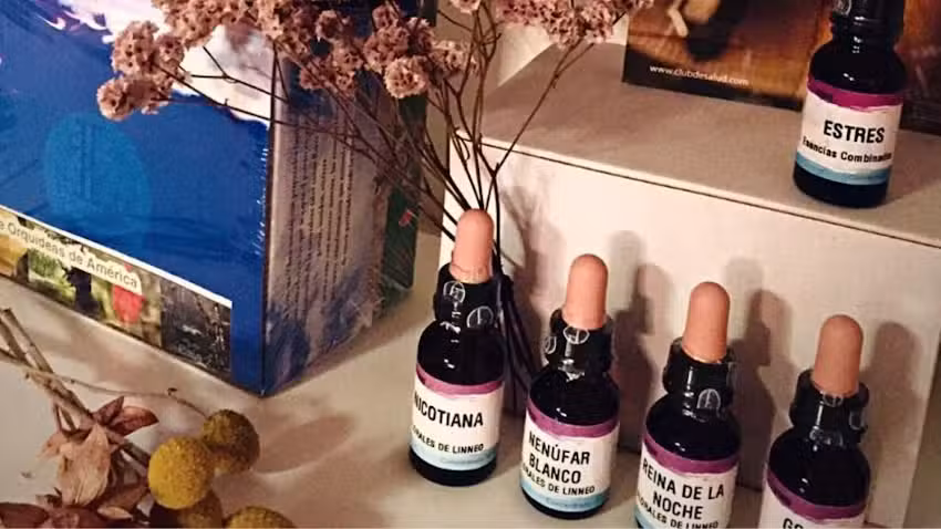 Ser Hol&iacute;stico