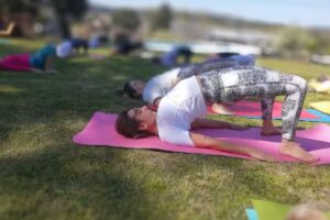 Shala Yoga & Estudio