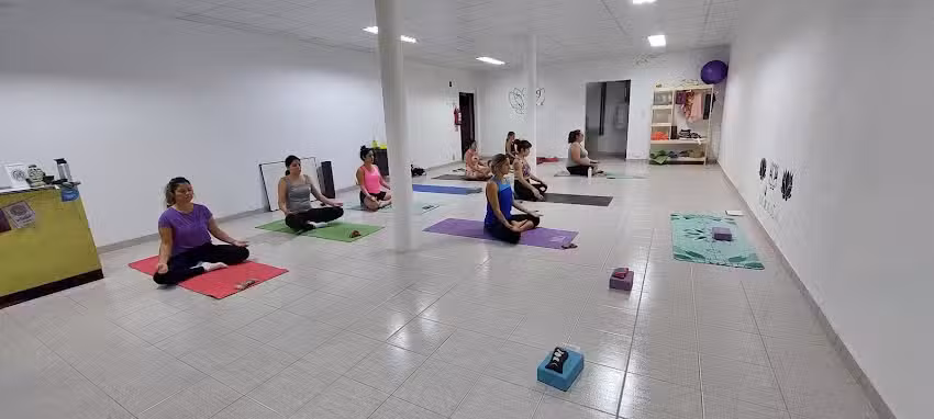 Vinyasa 9 Yoga