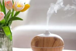 Yoga & Chikung Salud – Fitoterapia & Ayurveda – Masajes & Magnetos – Reiki & Barras de Access – Astrologia & Constelaciones