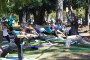 Yoga Darshana &ndash; Centro de Estudios Tradicionales &ndash; Vinyasa Yoga &ndash; Din&aacute;mico