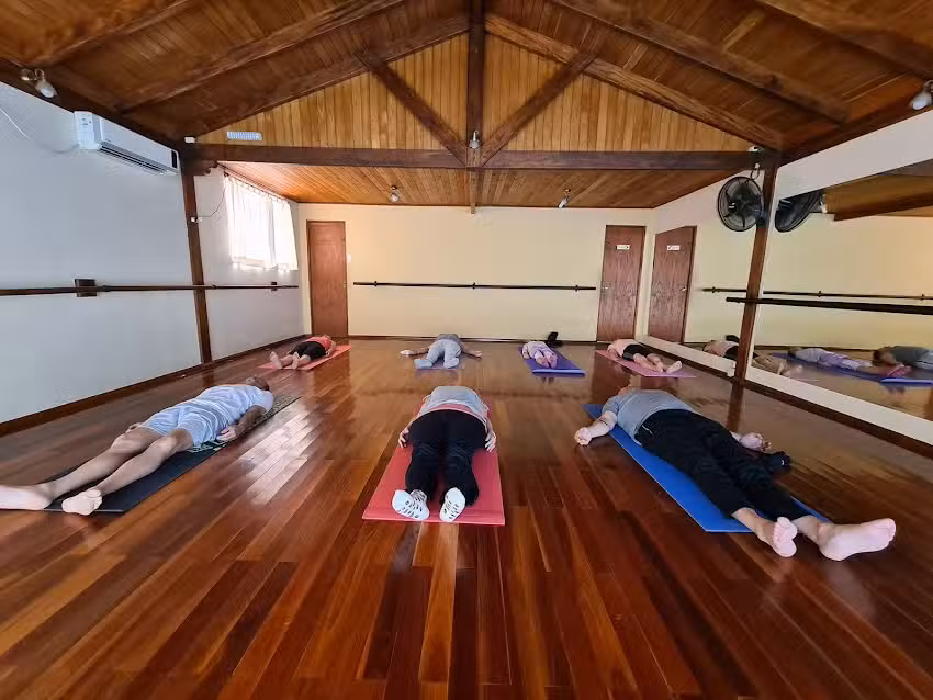 Yoga Hatha Aldo Mansur