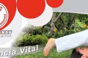 Yoga J&ntilde;anakanda C&oacute;rdoba