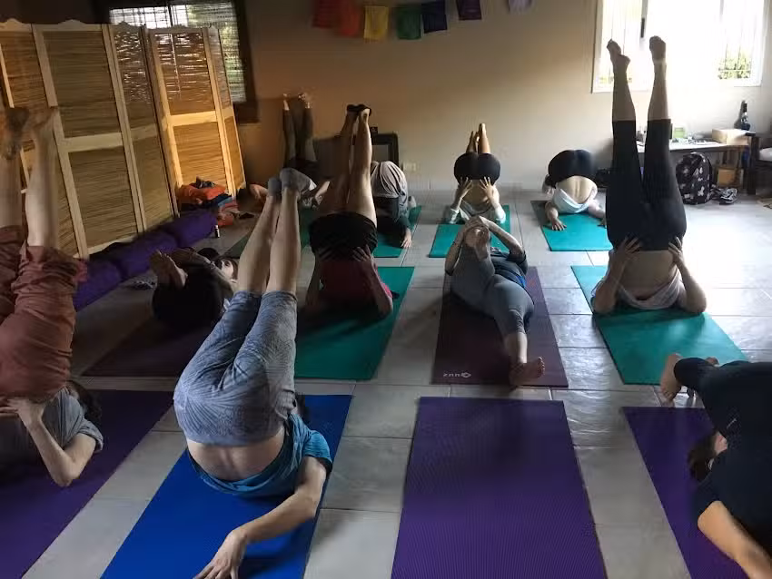Yoga Savia