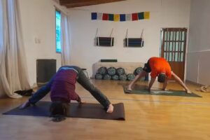 Yoga Sistema ABY Prof.Formadora Mercedes Ponce de León